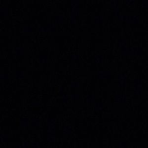 Meet your Posher, Ernest